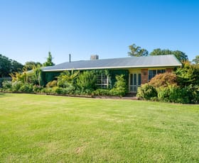 Rural / Farming commercial property sold at 338 WILLOWS ROAD Jerilderie NSW 2716