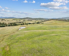 Rural / Farming commercial property for sale at 4436 Jerangle Road Captains Flat NSW 2623