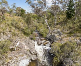 Rural / Farming commercial property for sale at 4436 Jerangle Road Captains Flat NSW 2623