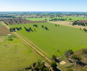 Rural / Farming commercial property sold at 1087 PATTERSONS ROAD Rennie NSW 2646