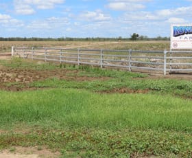 Rural / Farming commercial property sold at Goondiwindi QLD 4390
