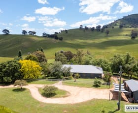 Rural / Farming commercial property sold at 251 Webbs Road Wyangle NSW 2720