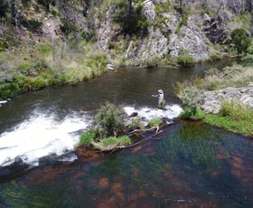 Rural / Farming commercial property for sale at 194 Point Lookout Road Ebor Dorrigo NSW 2453