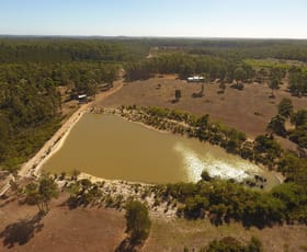 Rural / Farming commercial property sold at Lot 2 Off Big Hill Brook Road Northcliffe WA 6262