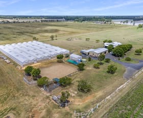 Rural / Farming commercial property sold at 110 Tarrants Road Calavos QLD 4670