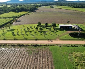 Rural / Farming commercial property sold at Friday Pocket QLD 4855