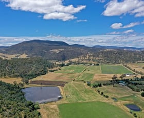 Rural / Farming commercial property sold at 1181 Elderslie Road Broadmarsh TAS 7030