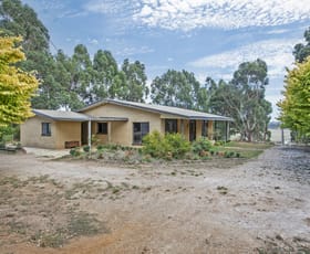 Rural / Farming commercial property sold at 206 Boys Road South Forest TAS 7330