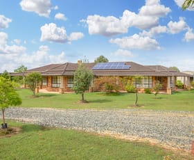 Rural / Farming commercial property sold at 72 Wine Country Drive Nulkaba NSW 2325