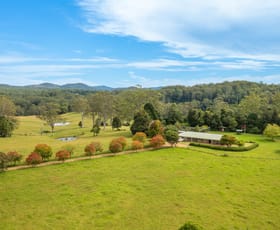 Rural / Farming commercial property sold at 255 Cooks Rd Elands NSW 2429