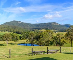 Rural / Farming commercial property sold at 479 Sandy Creek Road Mount Vincent NSW 2323