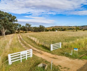 Rural / Farming commercial property sold at 990 Kangaroo Flat Rd Cowra NSW 2794