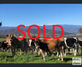 Rural / Farming commercial property sold at 175 Oak Hill Track Khancoban NSW 2642