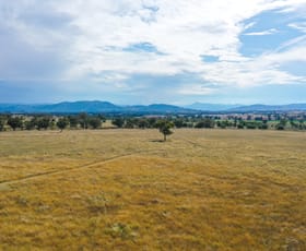 Rural / Farming commercial property sold at 'Bluegrass' Kia Ora Lane Tamworth NSW 2340