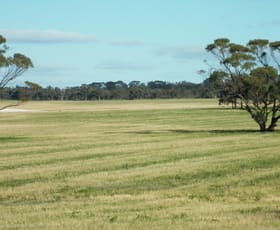 Rural / Farming commercial property for sale at Badgebup WA 6317