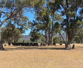 Rural / Farming commercial property for sale at Lot 2 Wonwondah-Dadswells Bridge Road Laharum VIC 3401