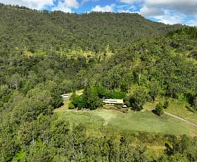Rural / Farming commercial property for sale at 783 Lamington National Park Road Canungra QLD 4275