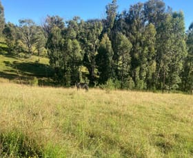 Rural / Farming commercial property for sale at 265 Balls Rd Bellbrook NSW 2440