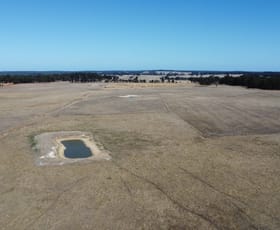 Rural / Farming commercial property sold at Yornup WA 6256