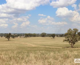 Rural / Farming commercial property sold at Young NSW 2594