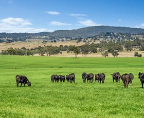 Rural / Farming commercial property for sale at Monaro Highway Cooma NSW 2630