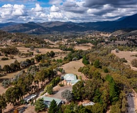 Rural / Farming commercial property sold at 11 Shannon Court Eildon VIC 3713