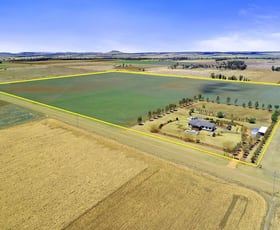 Rural / Farming commercial property sold at 244 Beutel Road Clifton QLD 4361