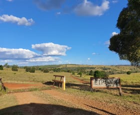 Rural / Farming commercial property sold at 271 McLaughlans Road Monto QLD 4630