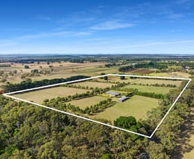 Rural / Farming commercial property sold at 111 Coolart Road Bittern VIC 3918