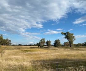 Rural / Farming commercial property sold at Coolah NSW 2843
