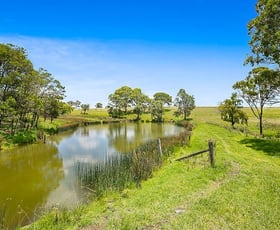 Rural / Farming commercial property for sale at Crows Nest QLD 4355