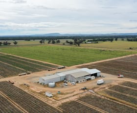 Rural / Farming commercial property sold at Hayfield & Tiagarra Ellis Lane Forbes NSW 2871