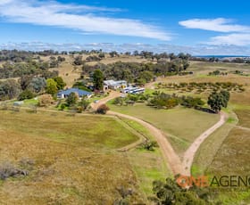 Rural / Farming commercial property sold at 112 Hollis Lane Perthville NSW 2795
