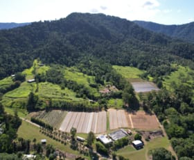 Rural / Farming commercial property sold at 33 Brodies Road Mount Charlton QLD 4741