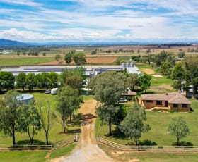 Rural / Farming commercial property sold at 126 Byamee Lane Tamworth NSW 2340