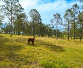 Rural / Farming commercial property sold at 116 Silverwood Avenue Temagog NSW 2440