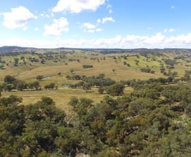 Rural / Farming commercial property sold at 72/ Kangaloolah Road Peelwood NSW 2583