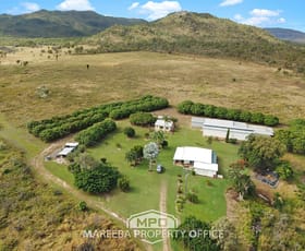 Rural / Farming commercial property for sale at 48 Ericson Road Dimbulah QLD 4872