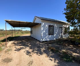 Rural / Farming commercial property sold at 100 Pomroy Road Yenda NSW 2681