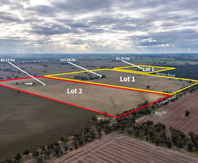 Rural / Farming commercial property sold at 187 Merton Road Collendina NSW 2646