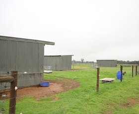 Rural / Farming commercial property sold at 432 Foster Road Rochester VIC 3561
