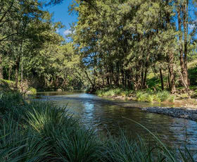 Rural / Farming commercial property sold at 1099 Allyn River Road East Gresford NSW 2311