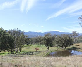 Rural / Farming commercial property sold at 1670 Timor Crawney Road Timor NSW 2338