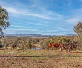 Rural / Farming commercial property sold at 190 James White Drive Fosters Valley NSW 2795
