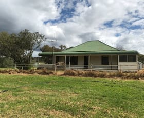 Rural / Farming commercial property sold at 1487 Longs Corner Road Canowindra NSW 2804