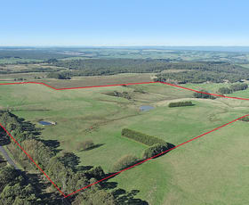 Rural / Farming commercial property sold at Lot 1 Princetown Road Simpson VIC 3266