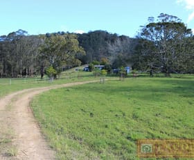 Rural / Farming commercial property sold at 91 Lochinvar Road Wherrol Flat NSW 2429