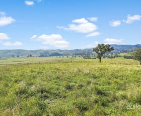 Rural / Farming commercial property sold at 36A Roselands Lane Singleton NSW 2330