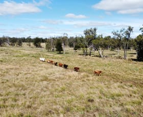 Rural / Farming commercial property sold at 5614 Surat Development Road Glenmorgan QLD 4423