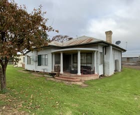Rural / Farming commercial property for sale at 329 & 391 Rossetto Road Bilbul NSW 2680
